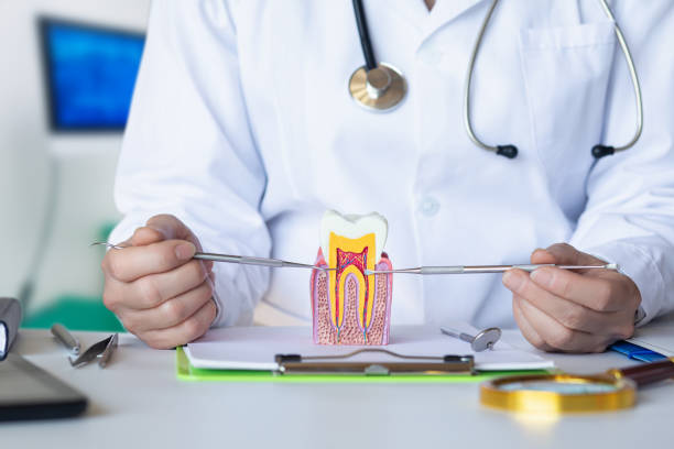 Best Emergency Dentist Near Me  in Morgan Hill, CA